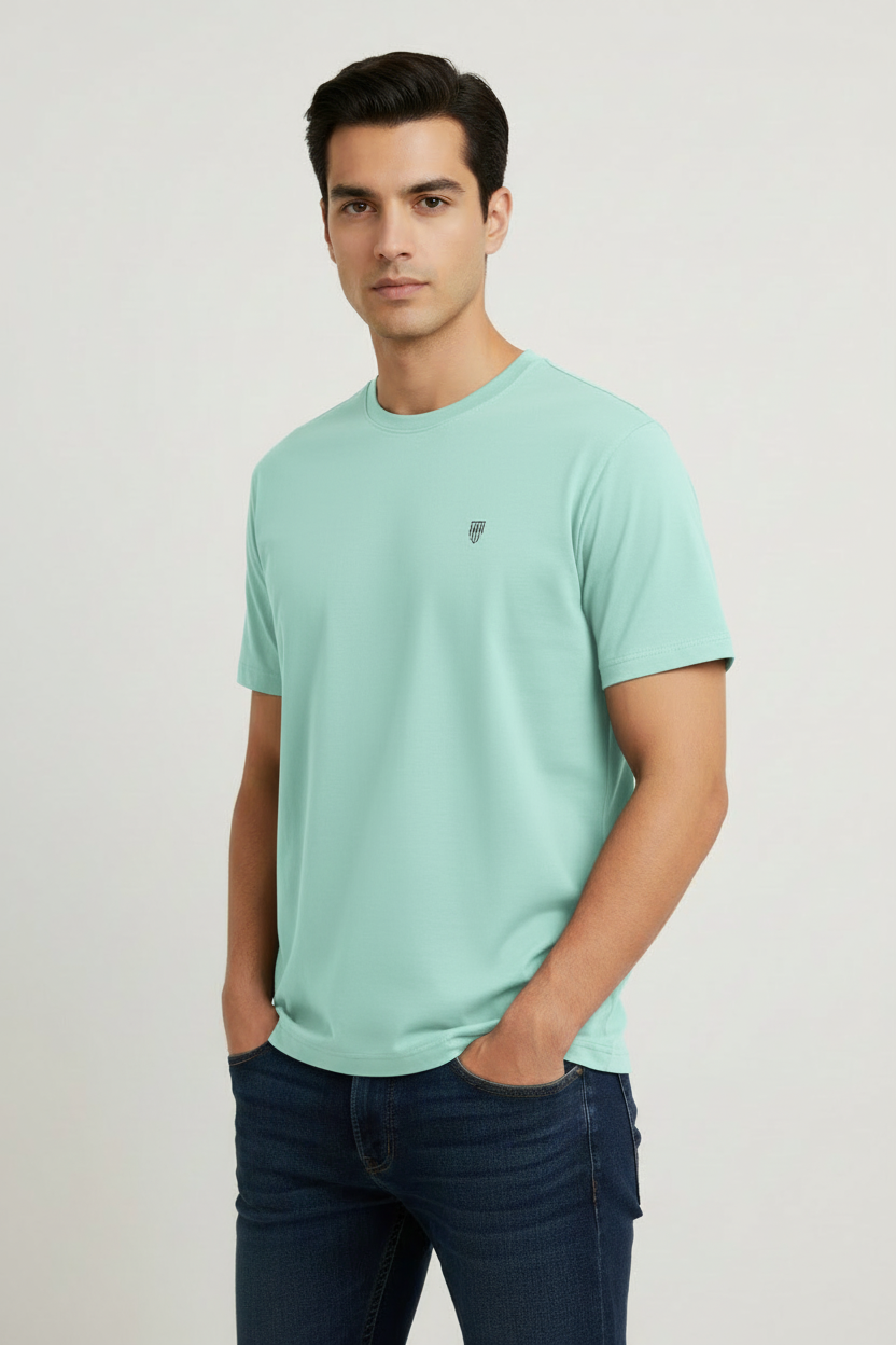 HAViT Men's Crew Neck T-Shirt – Mint – Indian Male Model