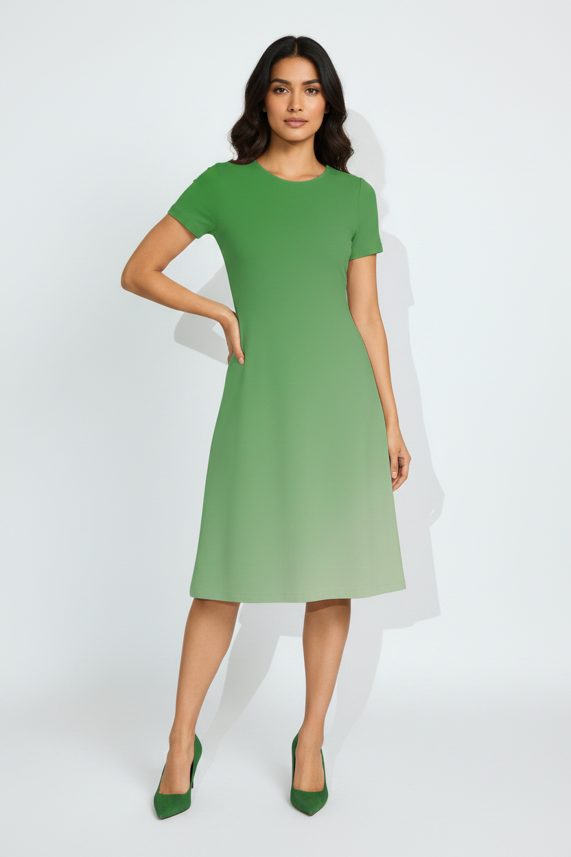 Indian female model wearing Sage Meadow A-Line Dress in studio setting, confident hand-on-hip pose, full body shot