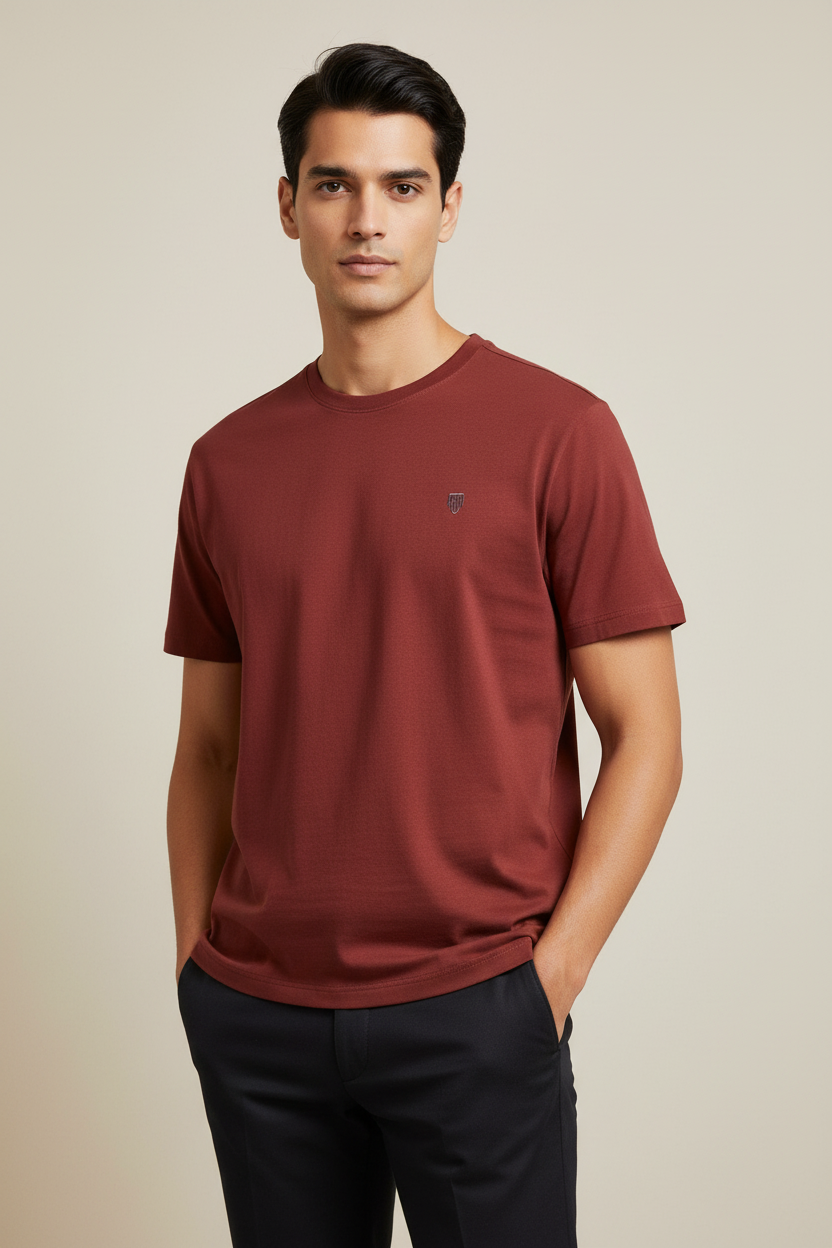 HAViT Men's Crew Neck T-Shirt – Brick Red – Indian Male Model
