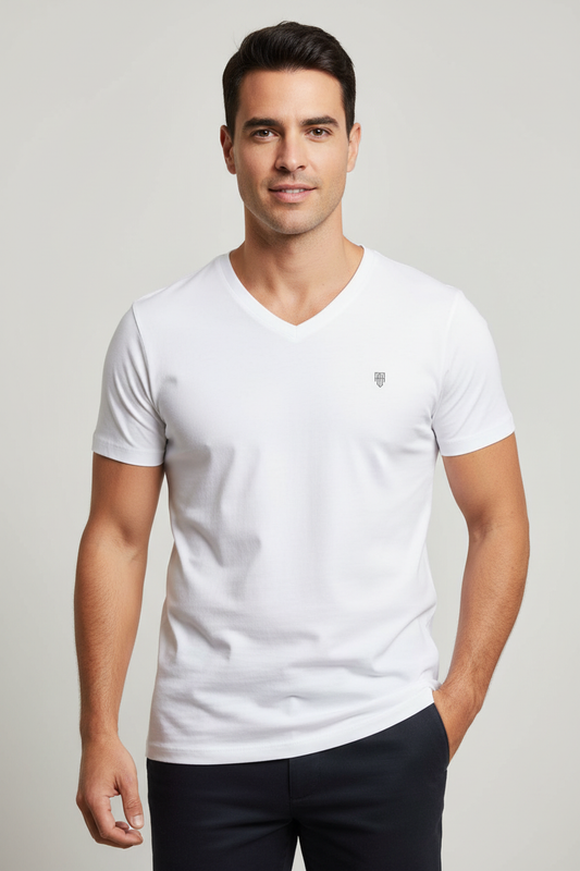Male model wearing HAViT V-Neck T-Shirt in neutral color